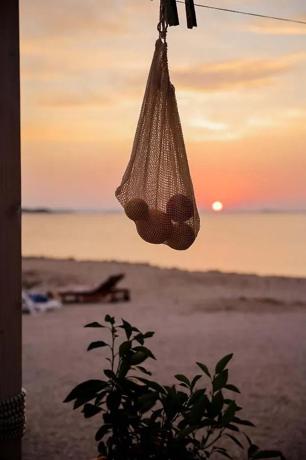 Buqez Eco Resort - Beach Front Villa 26 - Seaview Drage